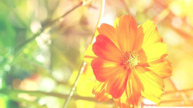 【 SEO資訊站 】2022年12月核心更新 - SEO公司| 企業(yè)網(wǎng)絡(luò)營銷| 百度關(guān)鍵詞排名- 海美SEO