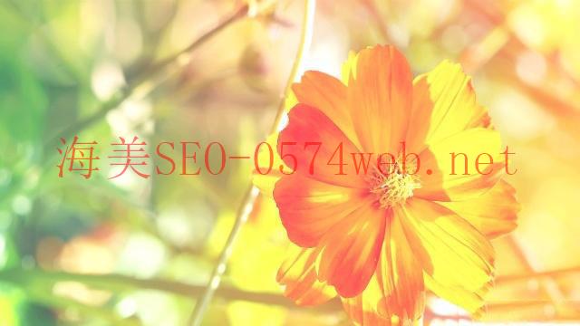 【SEO教學】SEO 是什么？3 個最常見的 SEO 謬誤你要知！ - 海美SEO